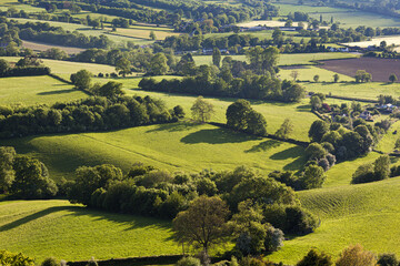 Fototapeta na wymiar Farmland in the Severn Vale near Far Green, Coaley, Gloucestershire UK