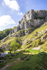 Cheddar Gorge. a limestone gorge in the Mendip Hills, Cheddar, Somerset UK