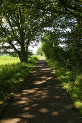 View on shady cycling track between trees in rural landscape - Germany, between Suchteln and Kempen