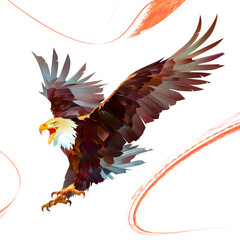 painted colored, bright eagle in flight with an open beak - 446327652