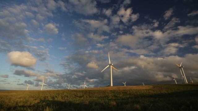 Hawi Renewable Development Wind Farm 1