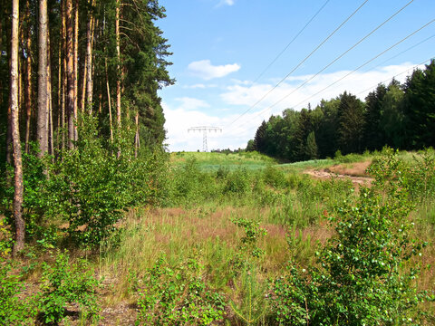 Die Knehden Alpen in der Uckermark