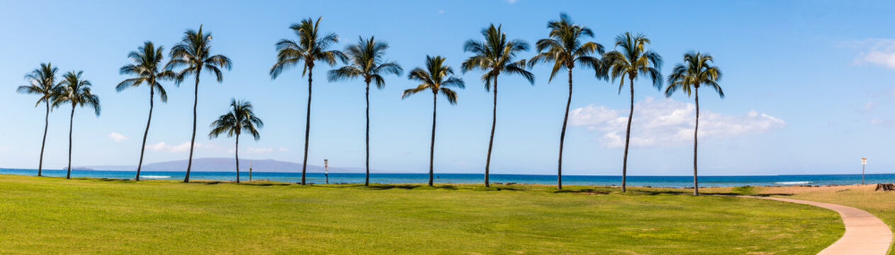 Coconut Palm Trees Line The Shore Of Kalama Beach Park, Maui, Hawaii, USA