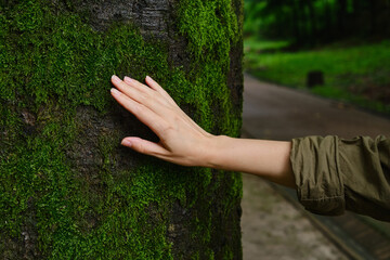 Girl hand touches a tree with moss in the wild forest. Forest ecology. Wild nature, wild life....