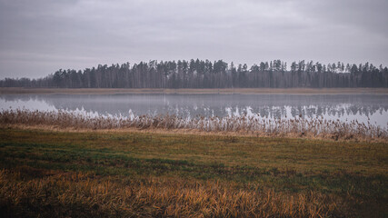 clear lake in cold late autumn morning. Misty fog over water. Meadow with dry grass in front. Coniferous forest reflects in smooth mirror water. Grey autumn morning sky