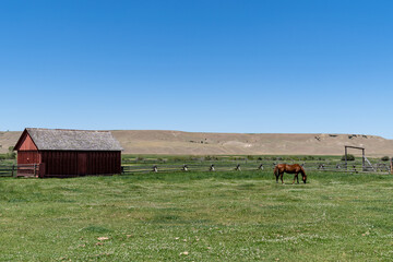 Barn and horse at the Grant-Kohrs National Historic Site Ranch
