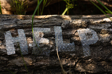 The word Help is made of polyethylene on a burnt tree. The concept of saving the forest from fire and pollution.