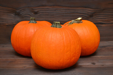 harvest pumpkins on wooden background