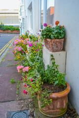 Fototapeta na wymiar Flower pots on the street near the walls of the house