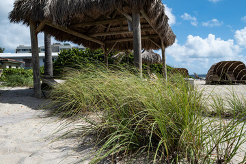 Beach hut with sea grass