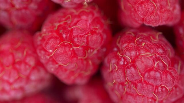 Fresh raspberry fruits as food dackground. Red raspberries, rotation.
