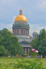 Pink roses with a blurred Issakievsky Cathedral in the background.