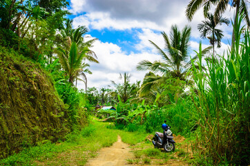 Motorcycle near beautiful jungle forest in Bali, Indonesia