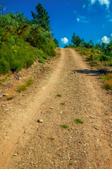 Dirt road passing through hilly terrain with trees at the highlands of Serra da Estrela. The highest mountain range in continental Portugal.