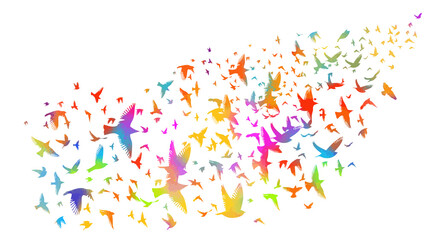 A flock of colorful birds. Vector illustration