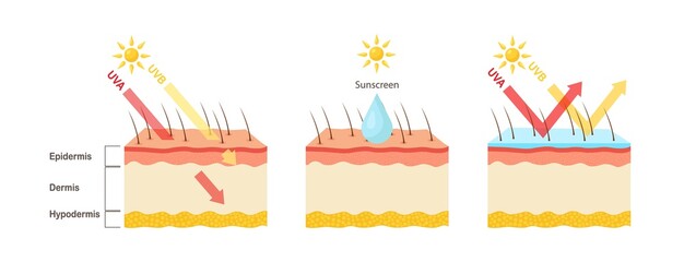 Obraz premium UV protection. Sunscreen lotion protect human skin from UVA, UVB ray. Vector illustration