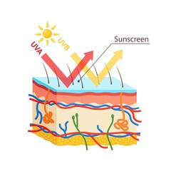 UV protection. Sunscreen lotion protect human skin from UVA, UVB ray. Vector design