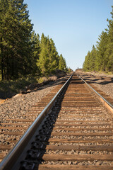 Railroad tracks through the trees