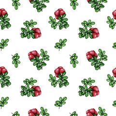 Watercolor Cowberry, Cranberry seamless pattern. Red forest berries bunch and green leaves on white. Hand drawn botanical background for vintage floral print, fabric, textile, package, scrapbooking