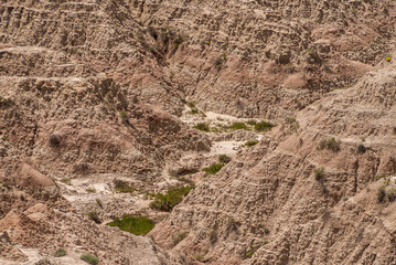 Fototapeta na wymiar Badlands National Park, SD, USA - June 1, 2008: Closeup of a brown-beige canyon with some green at the bottom.