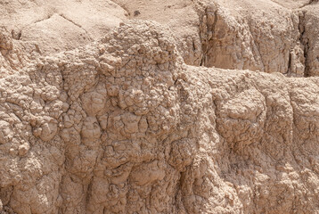 Badlands National Park, SD, USA - June 1, 2008: Closeup of dried bubbly beige geological deposit as part of canyon wall.