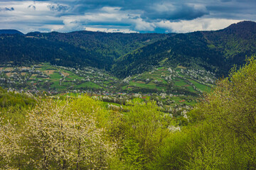 Naklejka na ściany i meble The great view of the mountains in the spring