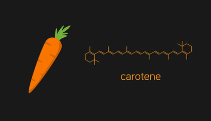 Vector illustration of carrot and carotene molecule. - obrazy, fototapety, plakaty