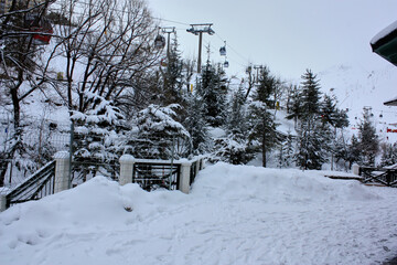 Scenic image of fir tree. Freezing day, quiet winter scene - Explore the beauty of the land. Tourism concept.