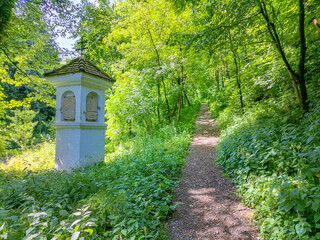 Naklejka premium Path in the forest to the pilgrimage Church Maria Strassengel, a 14th century Gothic church situated on top of a hill in Judendorf Strassengel near Graz, Styria region, Austria