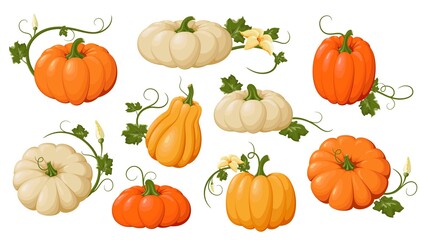 Pumpkins. Varied and colorful pumpkins set. Orange and yellow autumn pumpkins, symbol of autumn, agricultural harvest. Design element for Thanksgiving and Halloween. Isolated. Vector illustration
