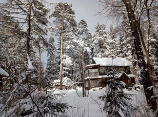 Old wooden two-story village house in the forest under snow in winter

