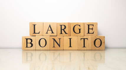 Large bonito phrase created from wooden letter cubes. Seafood and food.