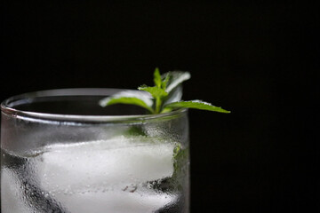 ice water with mint