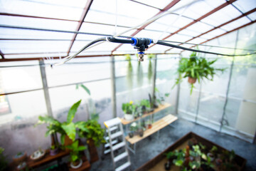 Selective focus to Fog nozzles in the nursery.