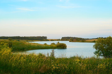 The blooming winding coast of the pond