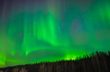 The Northern Lights Are On in Alaska!