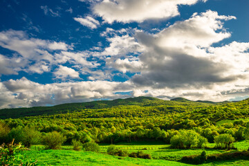 Fototapeta na wymiar Green Field and Clouds in LECUMBERRI (NAVARRE)