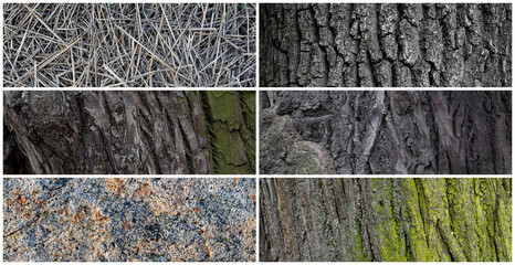 Set of natural textures. Nature objects close-up: trunks and bark of trees, surface of stone, dry grass. Collection of panoramic backgrounds for design.