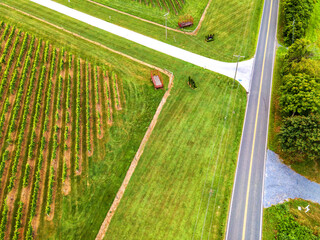 Aerial top view of a rural road along fields and farms