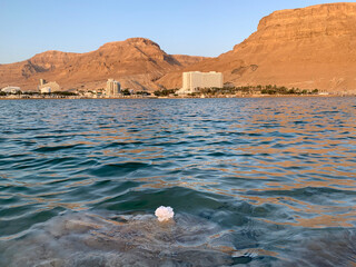 Shore of the Dead Sea