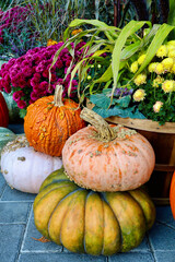 Harvest pumpkins stacked on top of one another with yellow and purple flowers in behind.