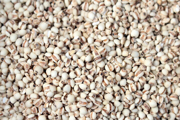 한국의 음식 재료, 율무