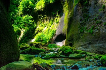 由布川峡谷