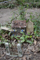 Fairy House Fairytale 