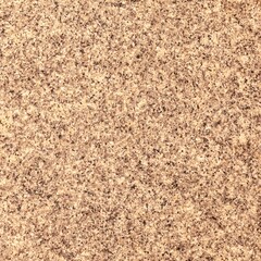 Polished Granite Floor Tiles brown texture and background seamless