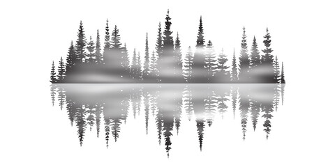 Coniferous forest reflected in water, black and white landscape  © Valerii