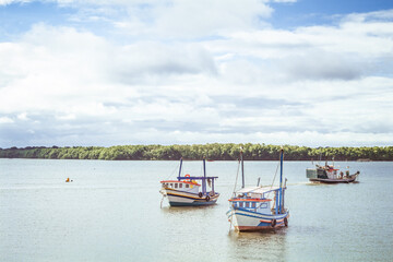 Fishing boats in the sea with the shore in the background, trees and clouds in the blue sky. Cananéia, São Paulo, Brazil.