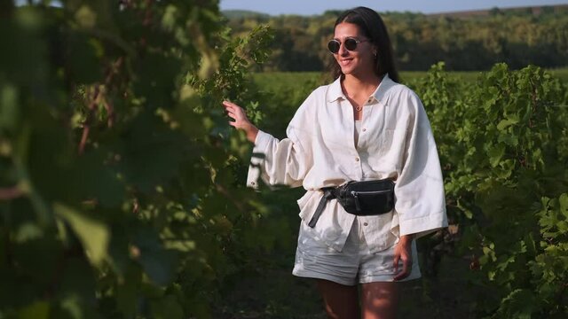 Pretty cheerful brunette having a relaxing walk in vineyard