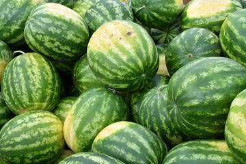 Ripe watermelons of the new harvest are sold in the bazaar 