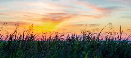 Beautiful landscape of the evening sky. Sky grass horizon sunset. Banner, copy space.